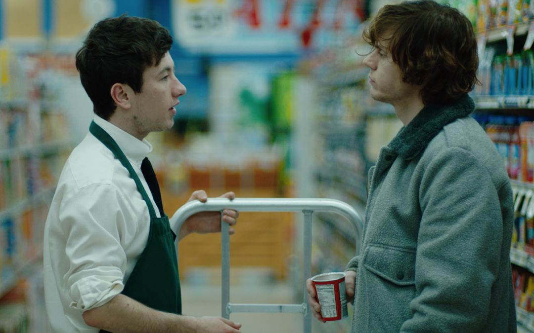 AMERICAN ANIMALS