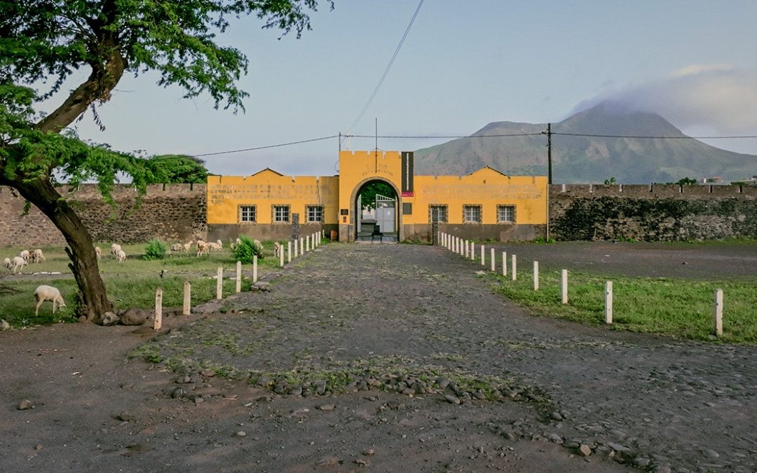 CHÃO VERDE DE PÁSSAROS ESCRITOS