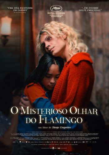 O MISTERIOSO OLHAR DO FLAMINGO